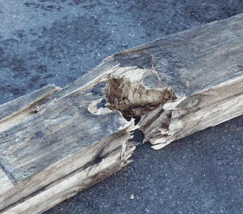 broken timber